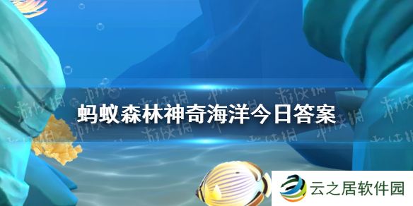 虎耳菇是一种什么 神奇海洋1月4日答案最新